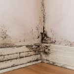 Benefits of Hiring a Damp Proofing Company