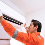 httpshomeofnatures.com