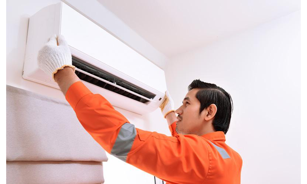 httpshomeofnatures.com