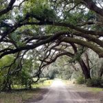 What Should Property Owners Know? What property owners should know