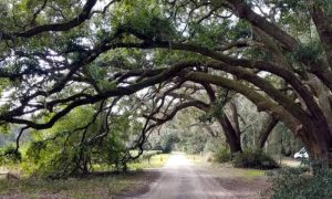 what_should_property_owners_know_what_property_own_21484_featured