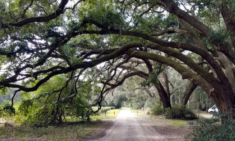 what_should_property_owners_know_what_property_own_21484_featured