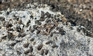 article_32493284_featured_1776936372