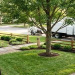 preparing_your_yard_for_a_tree_service_visit_32489204_featured